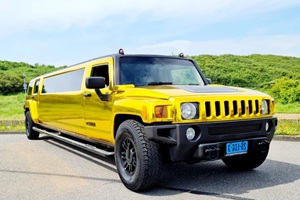 Hummer Limousine Gold, Rotterdam