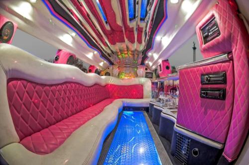 Budapest - Pink Hummer (4)