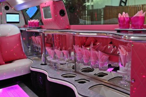 Budapest - Pink Hummer (5)