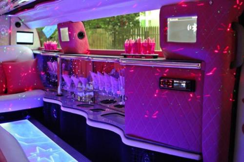 Budapest - Pink Hummer (6)