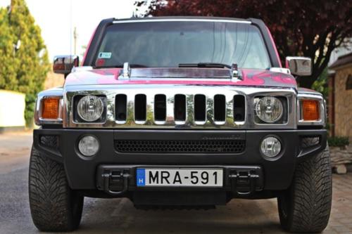Budapest - Pink Hummer (8)