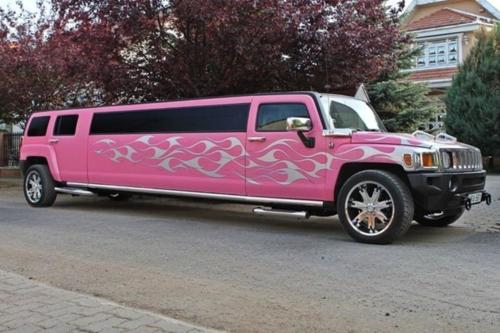 Budapest - Pink Hummer (9)