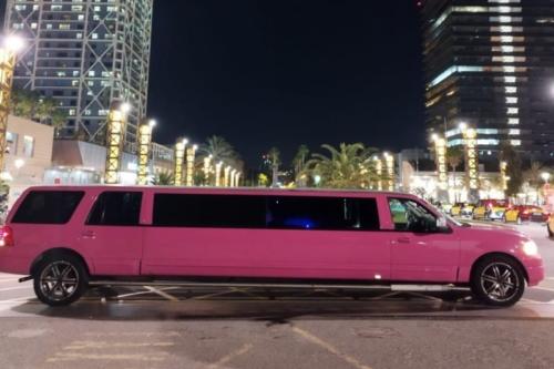 Ford Excursion Limousine 1
