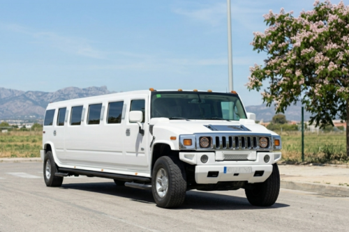 Hummer PMI Outside