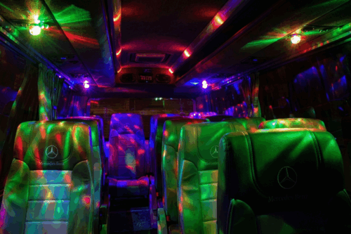 Lux MiniBus Inside (2)