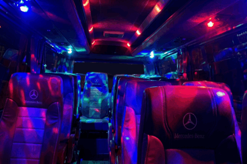 Lux MiniBus Inside (3)
