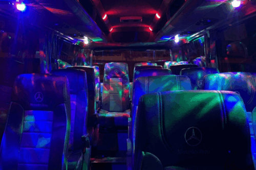 Lux MiniBus Inside (4)