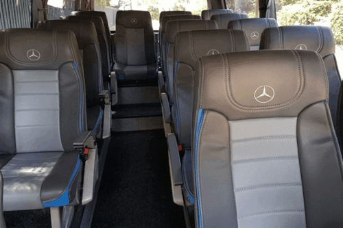 Lux MiniBus Inside (5)